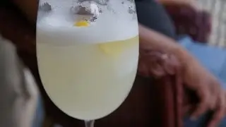 Silver Fizz