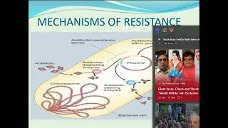 sulbactam  An update on Acinetobacter baumanii Dr Sayantan Ghosh