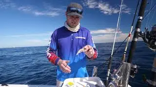 Soft Plastic Scents | Fisho App