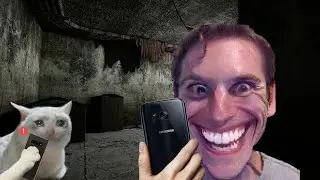 When your Discord kitten sends you a message