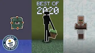 Guinness World Records Minecraft *PARODIA*