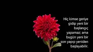 YENİ Başlangıçlara -terapi #shorts #keşfet #love