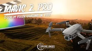 DJI Mavic 2 Pro D-Log M Color Grading in FCPX | Drone Video Editing Tutorial using DJI LUT