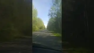 недальная дорога. утро