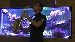 Oye Mi Canto|Мхитарян Самвел