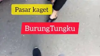 Pasar kaget BurungTungku