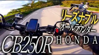 手が届く価格帯、ネオスポーツカフェCB250R試乗　扱いやすいオンロードオールラウンダー　【HONDA CB250R】モトブログ