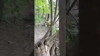 Денек у воды