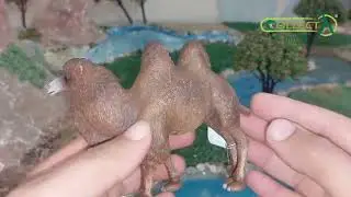 Collecta Bactrian Camel Review 🐫 !!!