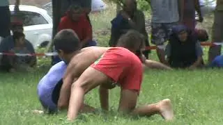 Wrestling