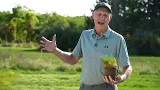 Turfgrass Identification and Uses – Commercial