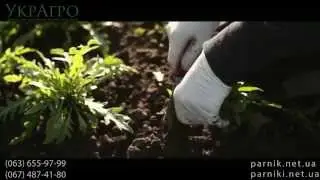 Легкие в установке и долговечные парники по лучшим ценам!