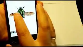 Рисуем маркерами  просто.Жук маркерами  