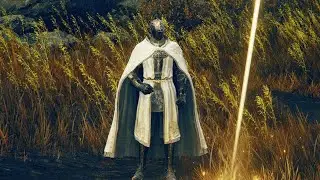 Needle Knight Leda + Merry Gang (Elden Ring DLC)