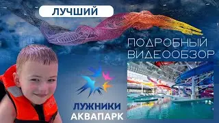 Аквапарк Лужники, подробности и цены #аквапарк #лужники #развлечения #кудасходить #москва