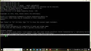 How to import CSV file in MySQL latest version ?