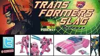 BETTER look at Transformers Cyberverse Deluxe Arcee & Thunderhowl