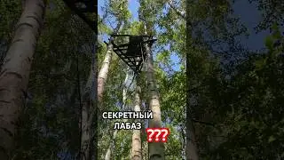 БРАКОНЬЕРСКИЙ ЛАБАЗ НА СОЛОНЦЕ ???
