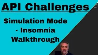 API Challenges Simulation Walkthrough using Insomnia
