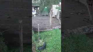 Agora é o vento fazendo estrago aqui no Sul 😰😰