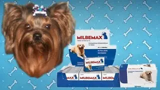 Мильбемакс для собак | Инструкция по применению.
