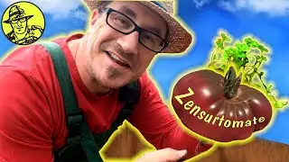 4 peinliche Fehler / der Selbstversorgergarten im Mai / Pflanzen im Gewächshaus / Hühner / Outtakes