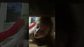 23 июня 2024 г.