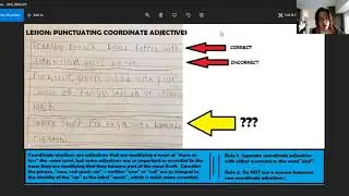 Critiquing My Nephew:  Coordinate Adjectives
