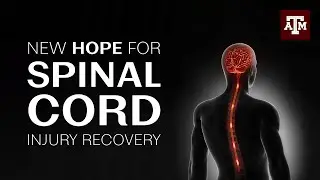 Save the spinal cord