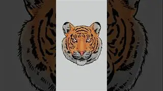 Como desenhar um TIGRE passo a passo