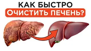 Как ИЗБАВИТЬСЯ от ПРОБЛЕМ с печенью? / Учимся заботиться о здоровье нашей печени