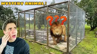 BUILDING HUGE HABITAT FOR *NEW* MYSTERY ZOO ANIMAL !