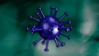 Coronavirus (COVID-19) 3D green screen