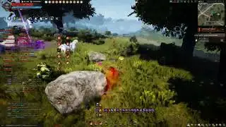 Black Desert 2024 07 04   Им просто повезло!