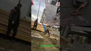 гариби 01.10.2024
