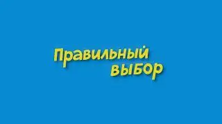 правильный выбор 388