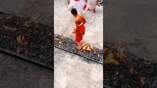 Explore the ancient tradition of fire walking in Sri Lanka 🇱🇰 #srilanka #travel #culture #asia