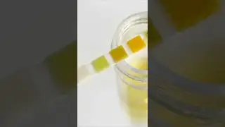 ТЕСТ НА НИКОТИН 
