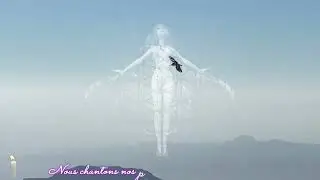 🤍🕊️Damien-Saez - l'oiseau Liberté 🕊️🤍