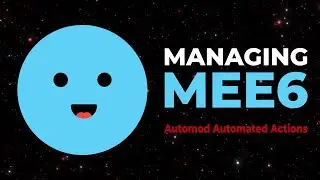 Managing MEE6 - Automod Automated Actions