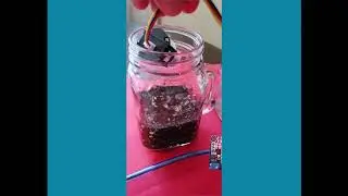 Turbidity Sensor 2