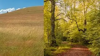 Lightroom 5 Tutorial - The Basics