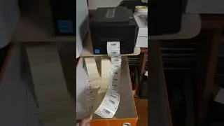 Термотрансферная печать этикеток на принтере TSC TE200