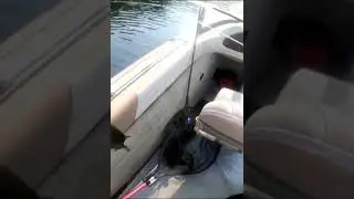 Mako2000 Making Noises