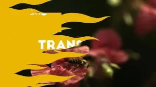 Broadcast Channel. After Effects Project on Videohive.net