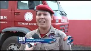 Riscos picada de marimbondo - 29.07.2014