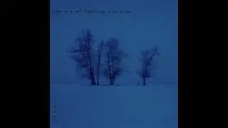 It's not the same (EP: The art of feeling ataraxia)