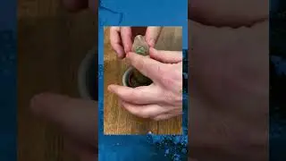 Просто натянул на кактус