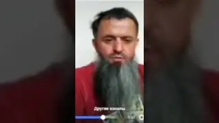 Суета с петухами кто в теме