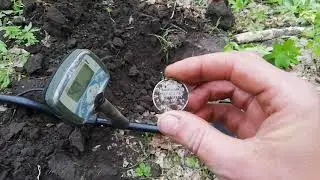 коп с х терра полтиник и немецкая бляха